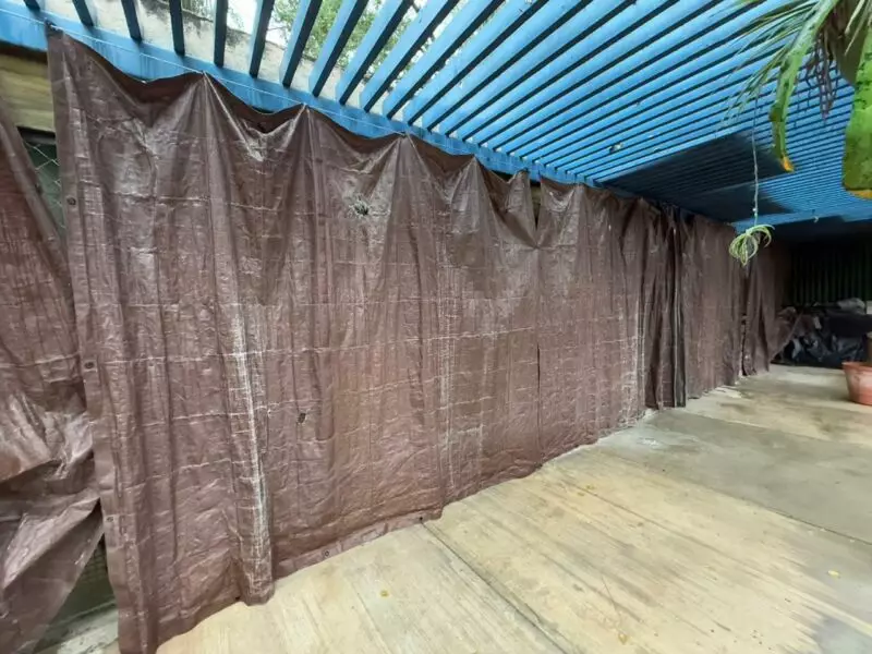 Aplica Comisión de Parques protocolos en fauna ante bajas temperaturas