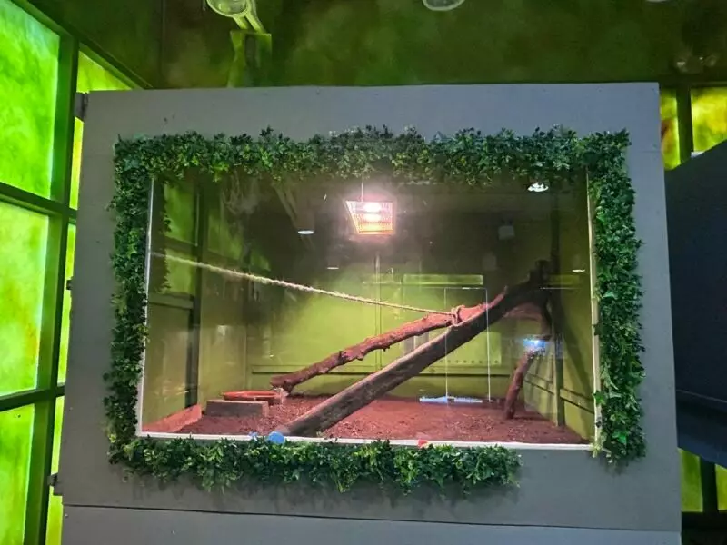 Por onda gélida, permanecerán cerrados parques de la Comisión