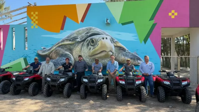 Vigilarán seis campos tortugueros en Tamaulipas con 14 cuatrimotos