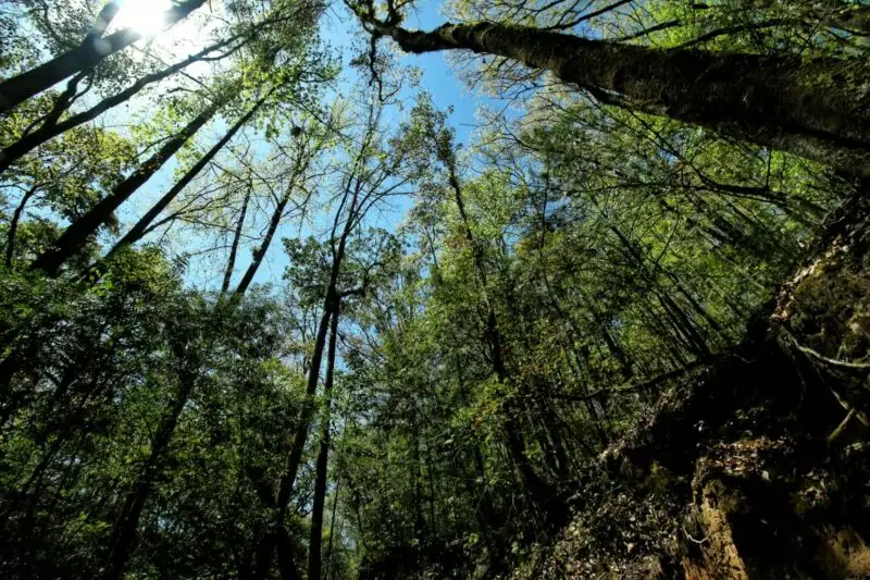 Reafirman compromiso por la biodiversidad en El Cielo