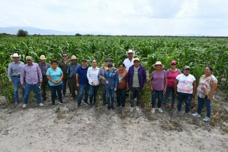 Impulsan productividad y sostenibilidad del sector agropecuario tamaulipeco