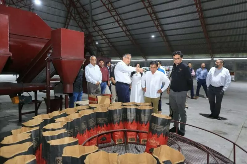 Avanza planta de combustibles limpios en Tamaulipas, con inversión de 6.5 MDD