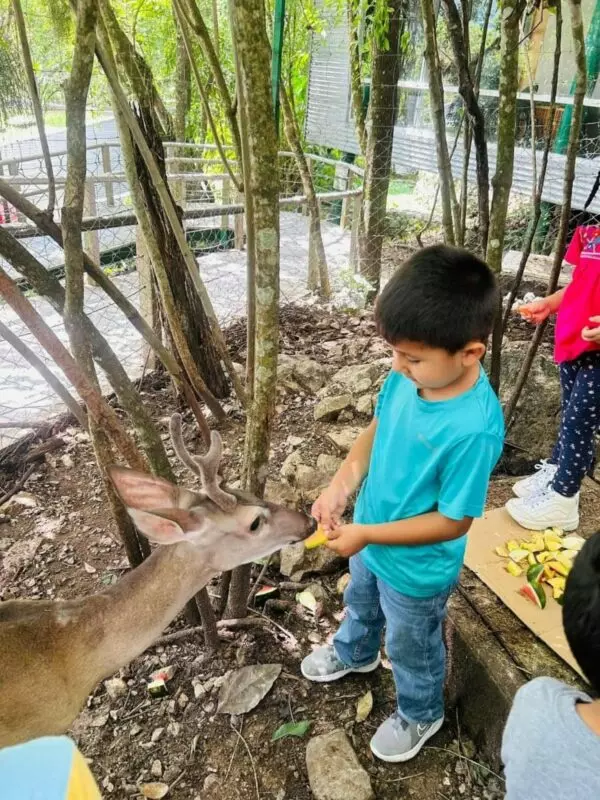 Genera Comisión de Parques guardianes de la naturaleza