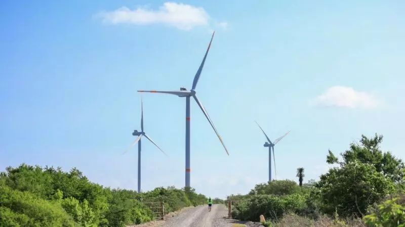 “Tamaulipas aspira a ser el principal estado productor de energía eólica del país”: secretario de Energía