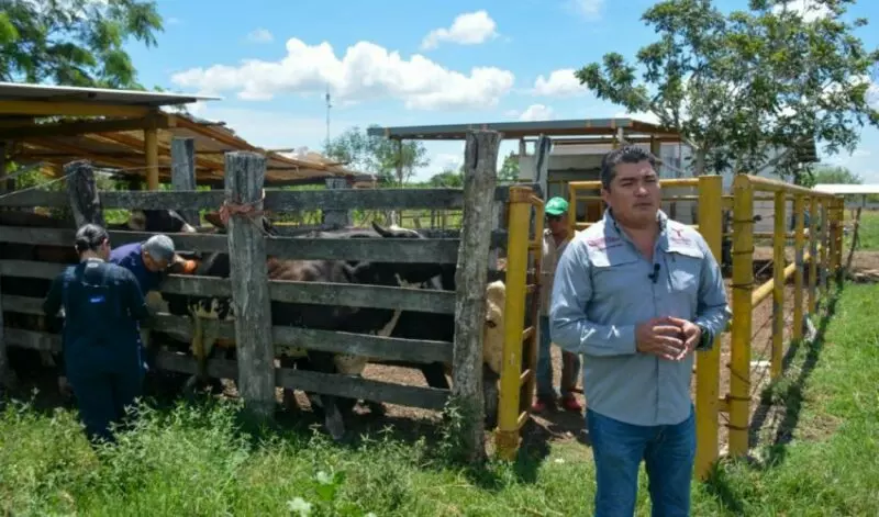 Inicia proyecto de mejoramiento genético con tecnología in vitro en Aldama y Altamira