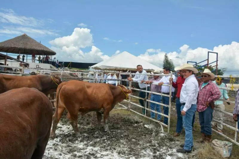 Reitera Gobierno del Estado su compromiso con el sector ganadero