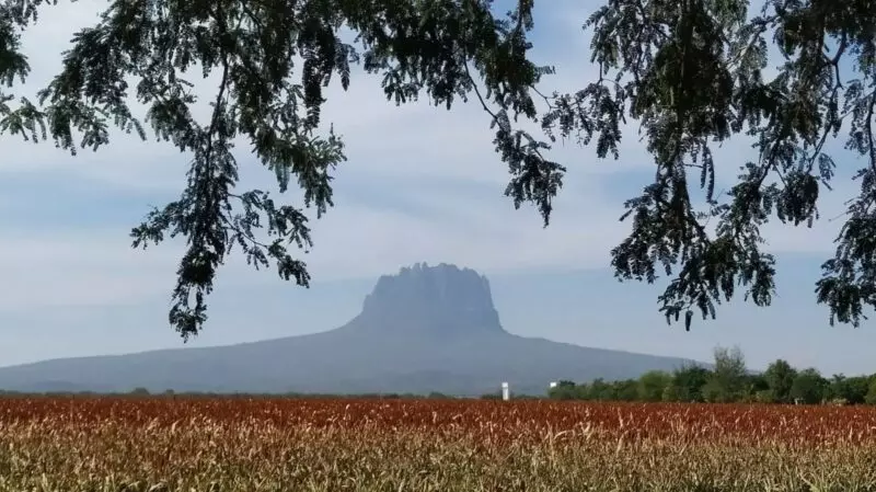 Analiza Tamaulipas estrategias para fortalecer el turismo en comunidades rurales